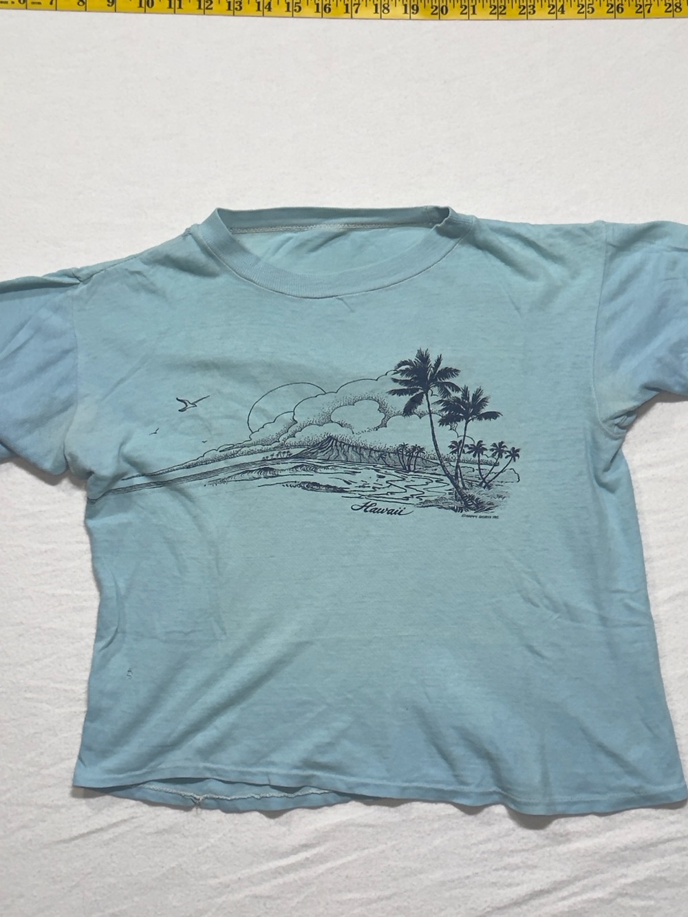 1980s single stitch distressed over time true vintage graphic t shirt.